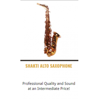 Theo Wanne-Shop-Instruments-ALTO SAXOPHONE-SHAKTI ALTO SAXOPHONE